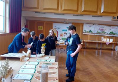 Ff3528b4 8f62 44d3 95db 3573ddf76cbb