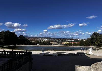 Blick Von Der Gloriette Auf Wien